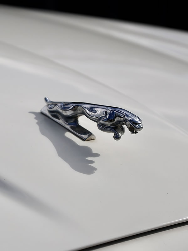 Jaguar bonnet mascot