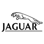 Jaguar logo icon