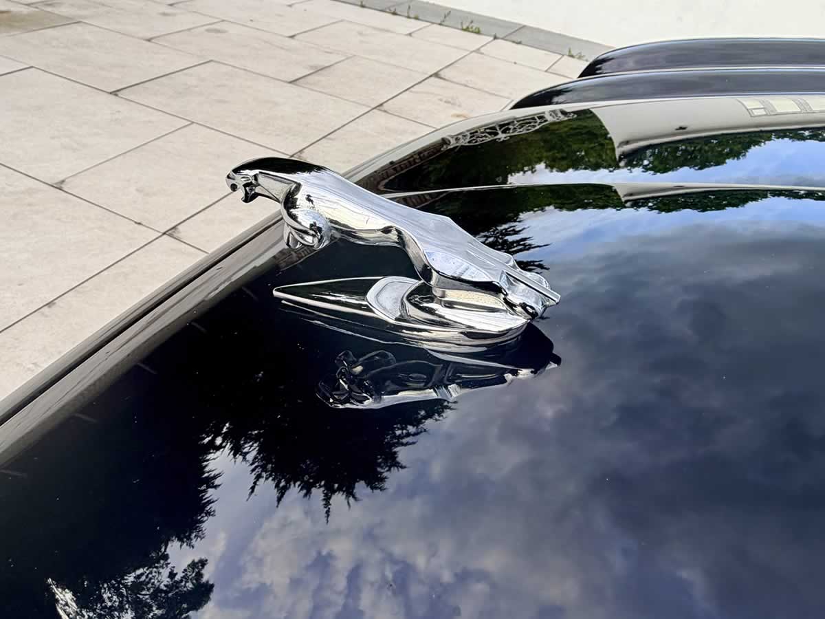 Jaguar Emblem on bonnet